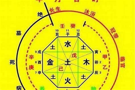 用神忌神計算|怎樣確定自己的八字喜用神